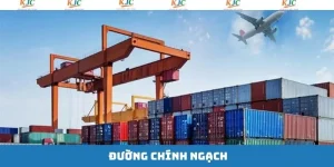 Đường Chính Ngạch - Đảm Bảo Pháp Lý Trong Hoạt Động Xuất Khẩu