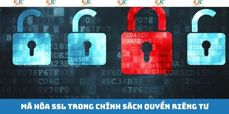 Hệ thống giải trí KJC áp dụng mã hóa SSL Hệ thống giải trí KJC áp dụng mã hóa SSL