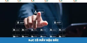 Ảnh đại diện KJC có mấy hậu đài